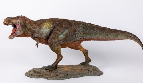 Коллекция Дарвиновского музея пополнилась реконструкцией тираннозавра Скотти
