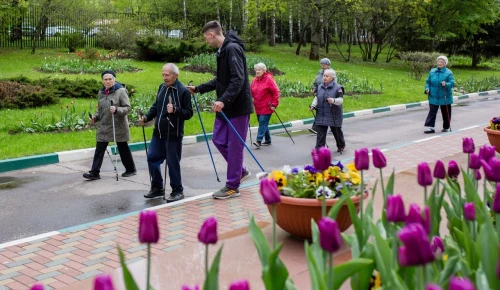 В геронтологическом центре «Теплый Стан» организованы занятия скандинавской ходьбой