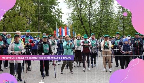 Более 300 долголетов участвовали в массовом заходе в Воронцовском парке