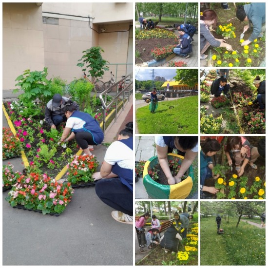 В Ломоносовском районе проводятся работы по уходу за зелеными насаждениями