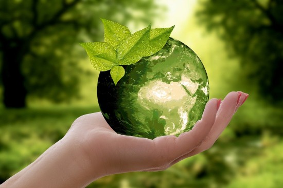 Школьников из района Теплый Стан приглашают в летний эколагерь в онлайн-формате