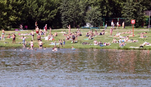 Запрет на купание введен в зоне отдыха «Тропарево»