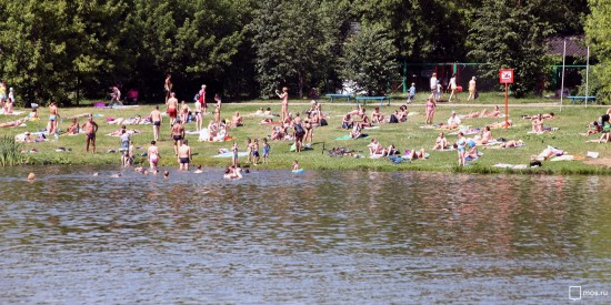 Жителей Конькова предупредили о запрете на купание в зоне отдыха «Тропарево»