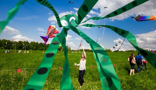 В Южном Бутове устроят фестиваль воздушных змеев