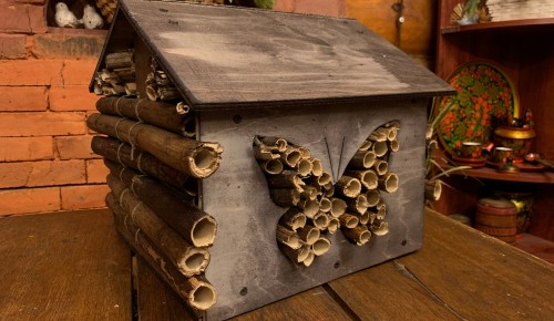 Жители Северного Бутова могут сделать домик для насекомых и принести его в экоцентр «Лесная сказка»
