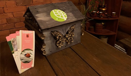 Мосприрода предлагает жителям Ясенева сделать домик для насекомых