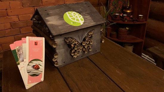 Мосприрода предлагает жителям Ясенева сделать домик для насекомых