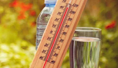 Филиал «Северное Бутово» ТЦСО «Бутово» рассказал, как перенести жару