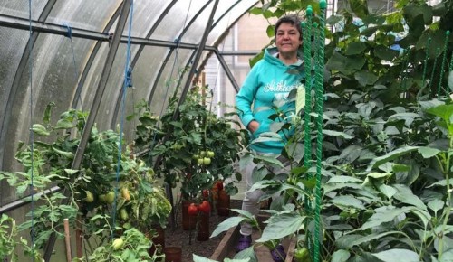 ТЦСО «Зюзино» рассказал об активистке-садоводе «Московского долголетия»
