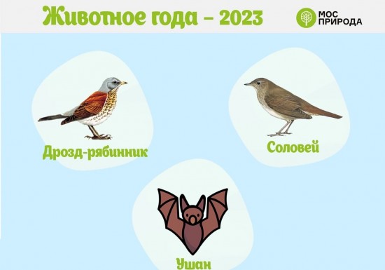Жители Конькова могут принять участие в голосовании «Животное года»