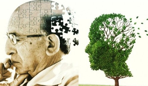 Филиал «Обручевский» ТЦСО «Ломоносовский» записал онлайн-лекцию о деменции