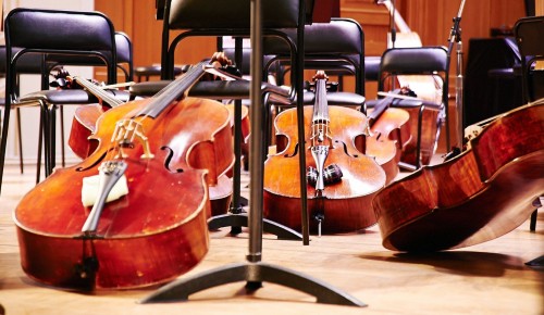 Центр «Моцарт» объявил набор детей и взрослых на обучение игре на виолончели