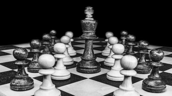 В Конькове 20 июля пройдет шахматный турнир «Белая ладья»