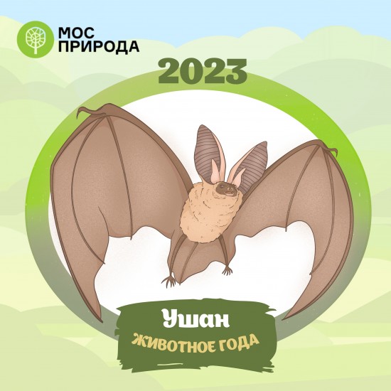 Жители Ломоносовского района могут ознакомиться с животным-символом Мосприроды в 2023 году