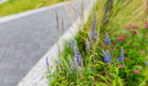 Выполнено 70 процентов работ по благоустройству участка Ленинского проспекта