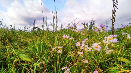 Экоцентр «Лесная сказка» устроит туристический поход