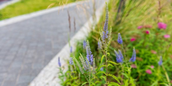 Выполнено 70 процентов работ по благоустройству участка Ленинского проспекта