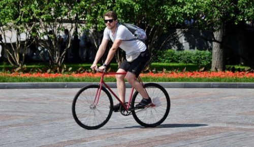 В Академическом районе появились новые велодорожки и велополосы