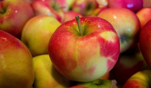 В Черемушках 19 августа проведут интерактивную программу «Яблочный спас с Хорошим настроением»