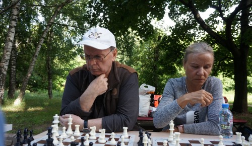 Королевский ход. Шахматист из Котловки объяснил тайный смысл и философию шахмат