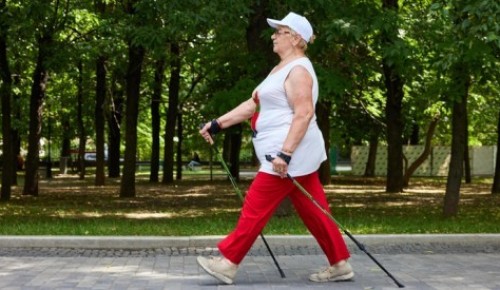 В Воронцовском парке проходят бесплатные тренировки для долголетов