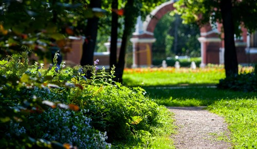 В Воронцовском парке пройдет занятие по развивающей гимнастике и экскурсия