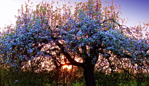 В библиотеке Котловки пройдут тренинг по йоге и консультация по клеточному питанию