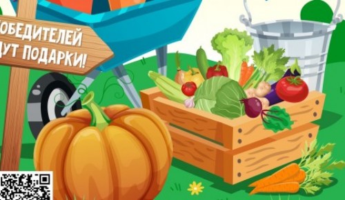 Жители Ломоносовского района могут поучаствовать в конкурсе урожая 10 сентября