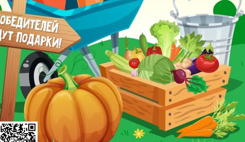 Жители Ясенева могут поучаствовать в конкурсе урожая 10 сентября