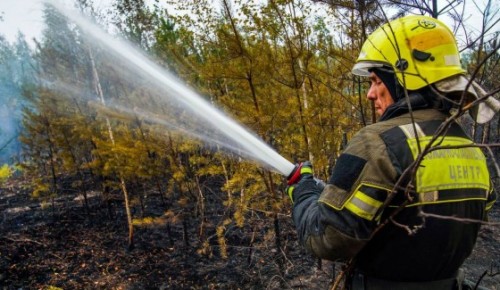 Собянин принял участие в совещании с президентом РФ по вопросу ликвидации природных пожаров