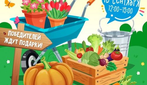 Жители Гагаринского района могут поучаствовать в конкурсе урожая 10 сентября