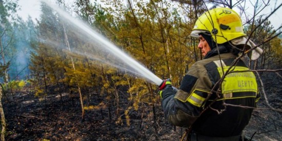 Сергей Собянин принял участие в совещании с президентом РФ по вопросу ликвидации природных пожаров