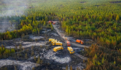 Собянин рассказал, как московские спасатели помогают бороться с огнем в Рязанской области