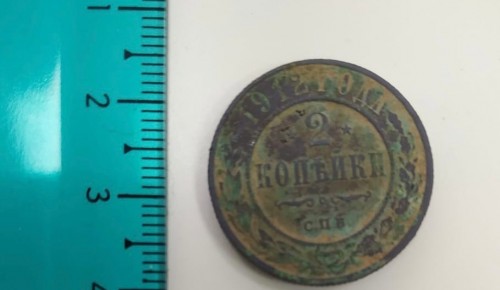 Сотрудники Ботанического сада Дворца пионеров нашли 110-летнюю монету