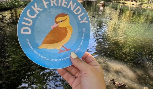В Воронцовском парке появились наклейки «Duck friendly»
