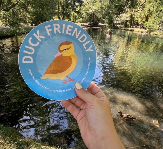 В Воронцовском парке появились наклейки «Duck friendly»