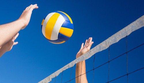В зоне отдыха «Тропарево» 10 сентября организуют соревнования по пляжному волейболу