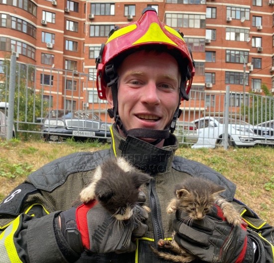 В Конькове спасли котят из вентиляционной шахты