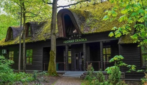 Лекцию об истории московских лесов прочитают в экоцентре «Лесная сказка»