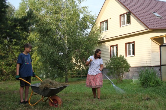 Готовим дачу к зиме. Что нужно сделать, чтобы растения благополучно пережили холода