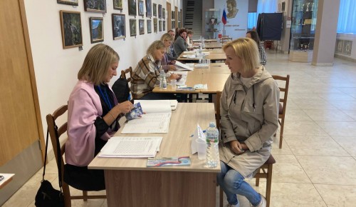 В Москве выборы муниципальных депутатов проходят без нарушений