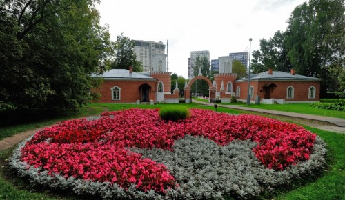 В Воронцовском парке устроят мастер-класс по вакингу