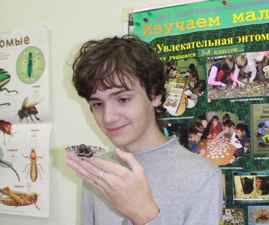 В парке Московского дворца пионеров обнаружили редкую ночную бабочку