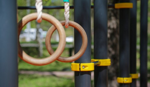 На окраине Битцевского леса в Зюзине появится локальный рекреационный центр