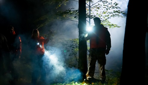 Найден. Жив! Члены поискового отряда из ЮЗАО рассказали, как возвращают пропавших