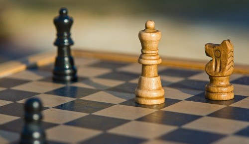 Жителям Северного Бутова представили мастер-класс по шахматам для начинающих