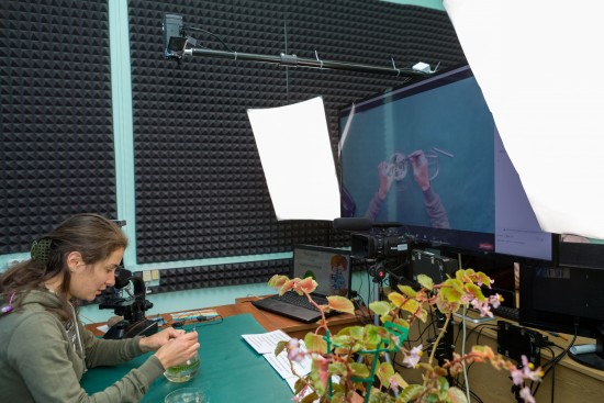 Дарвиновский музей проведет онлайн-занятие «Растения под микроскопом» 20 октября