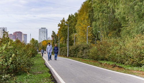 В Конькове появится рекреационный центр «Спортивные активности»