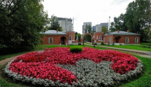 Воронцовский парк приглашает на воскресную экскурсию «Дары осени»