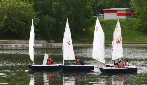 Пруд у Московского дворца пионеров ждет реконструкция